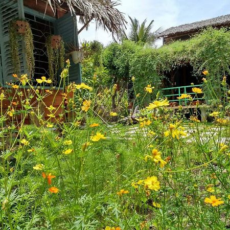 Bach Cuc Homestay Long Hai Exterior photo
