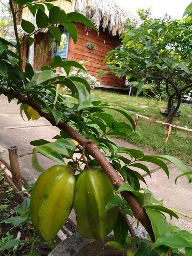 Bach Cuc Homestay Long Hai Exterior photo