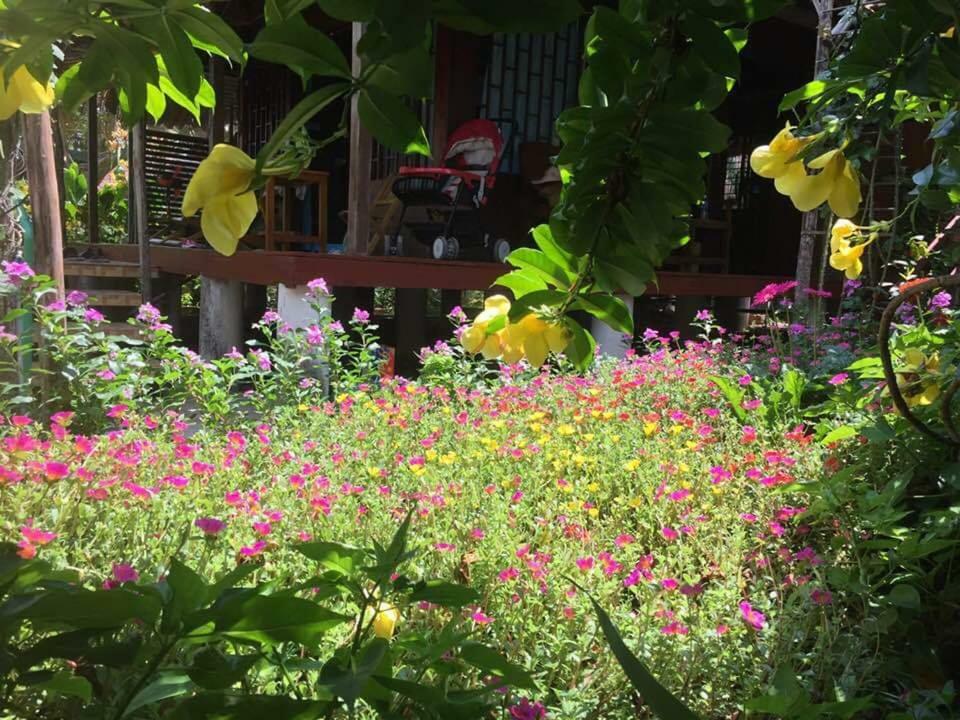 Bach Cuc Homestay Long Hai Exterior photo